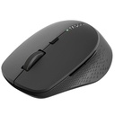 Rapoo Wireless Mouse M300S