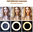 Ring Light RL-18 II