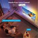 Govee RGBIC TV Backlight (For 55-65 Inch TV)