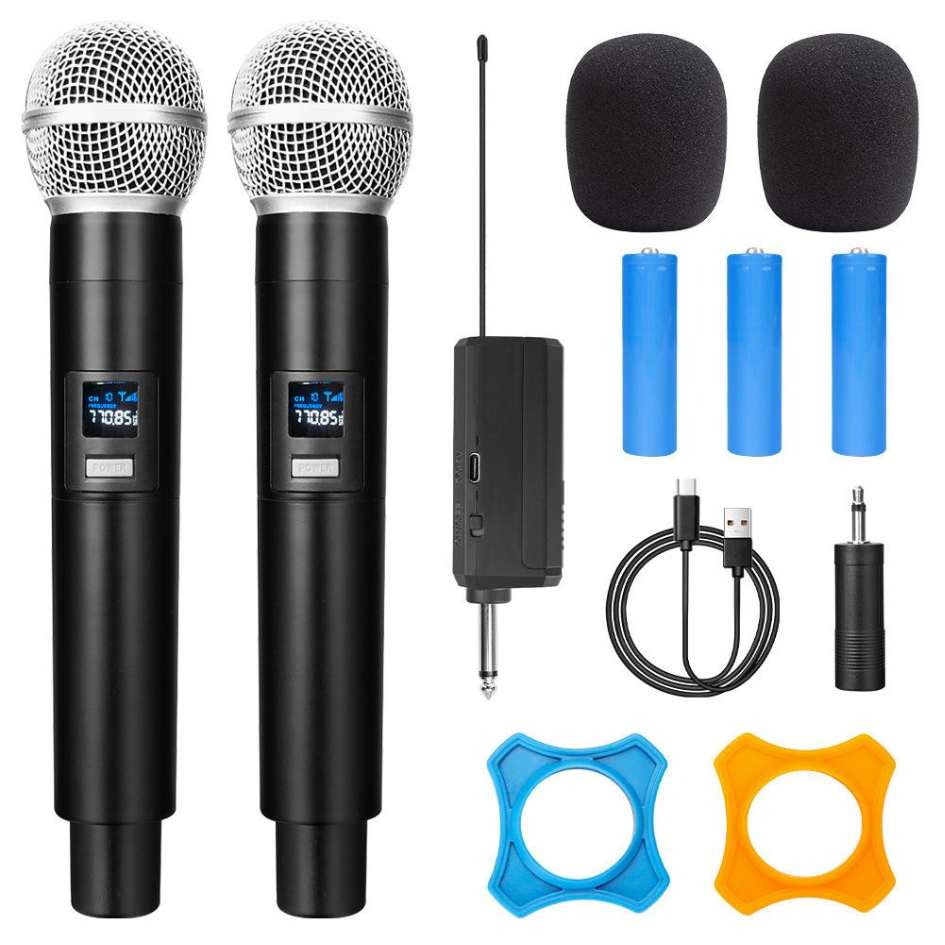 Professional Wireless Dual Handheld Microphone DM01