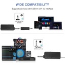 Professional Wireless Dual Handheld Microphone DM01