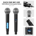 Professional Wireless Handheld Microphone WM01