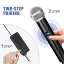 Professional Wireless Handheld Microphone WM01
