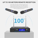 G-Mark Professional Wireless Dual Handheld Microphone G210V