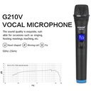 G-Mark Professional Wireless Dual Handheld Microphone G210V