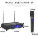 G-Mark Professional Wireless Dual Handheld Microphone G210V
