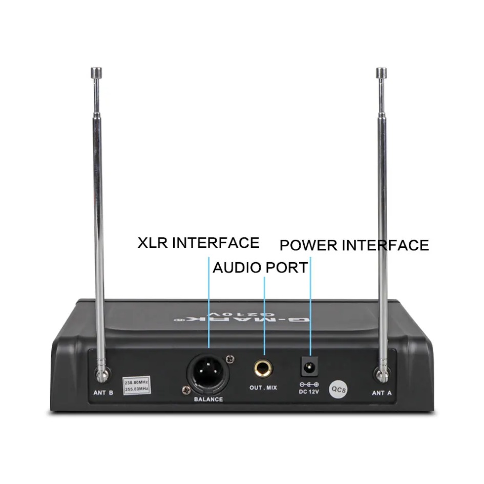 G-Mark Professional Wireless Dual Handheld Microphone G210V