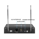 G-Mark Professional Wireless Dual Handheld Microphone G210V