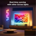 Govee Smart TV Backlight Envisual 3S (For 55-65 Inch TV)
