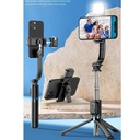 Selfie Stick Tripod C01s