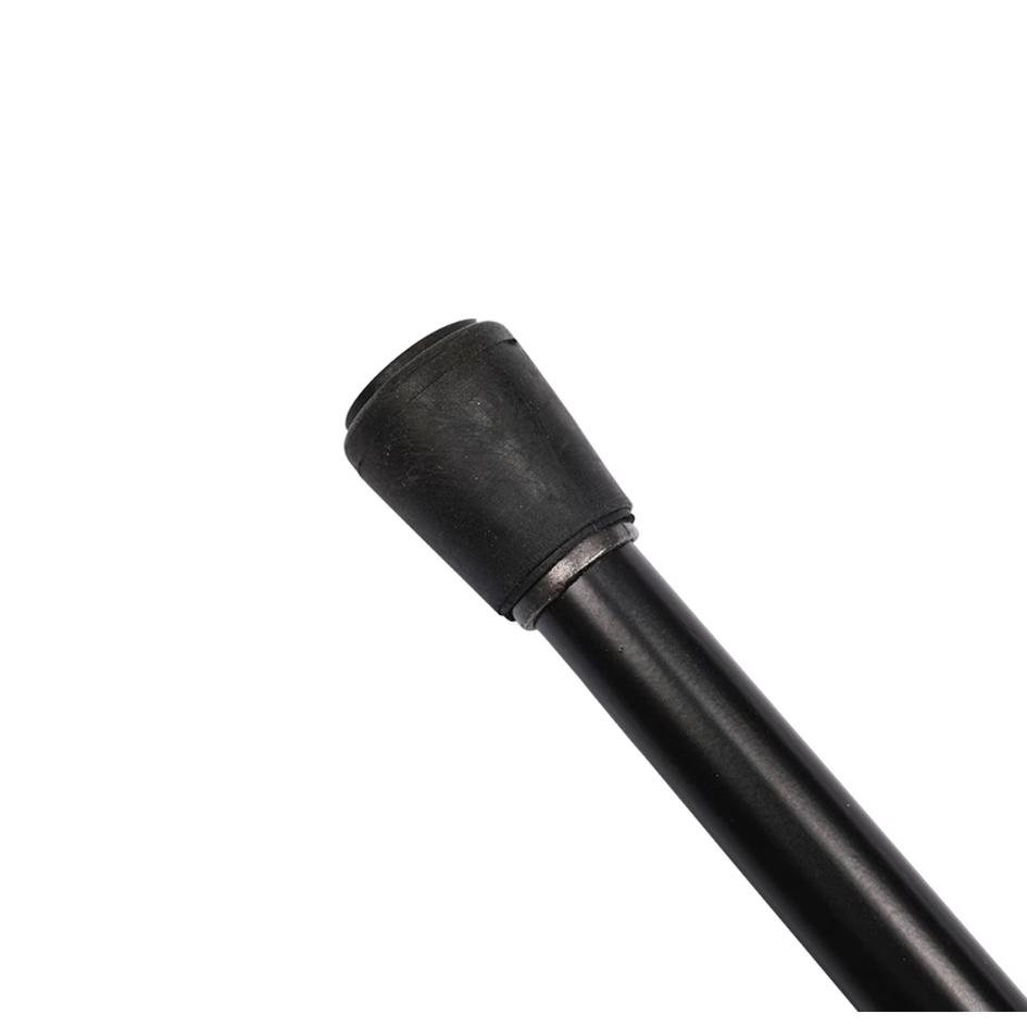 Madrigal Sword Cane