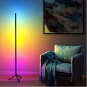 Smart RGB Corner Floor Lamp FL02