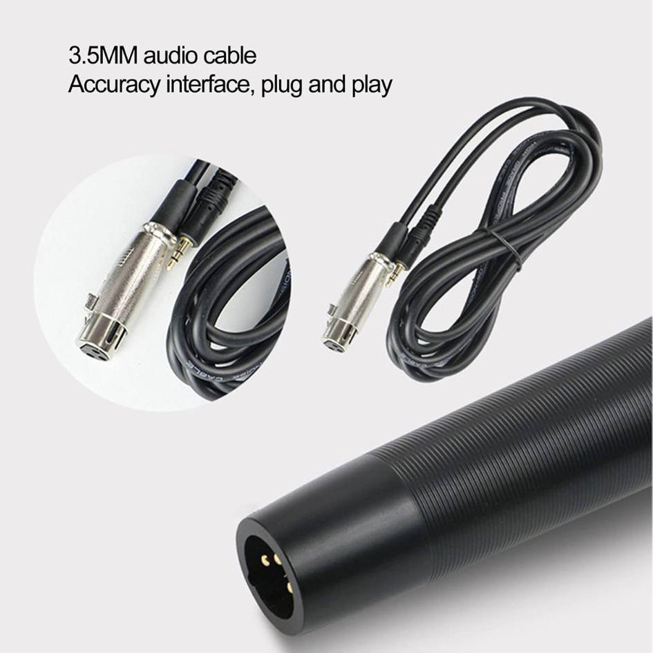 FEITIANXIA Professional Microphone