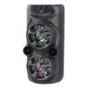 Greatnice GTS-1776 Bluetooth Portable Wireless Karaoke Speaker
