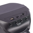 Greatnice GTS-1776 Bluetooth Portable Wireless Karaoke Speaker