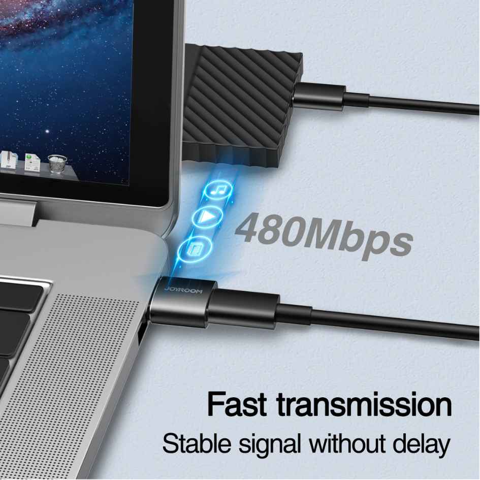 JOYROOM 2PCS USB Male to Type-C Female Adapter S-H152