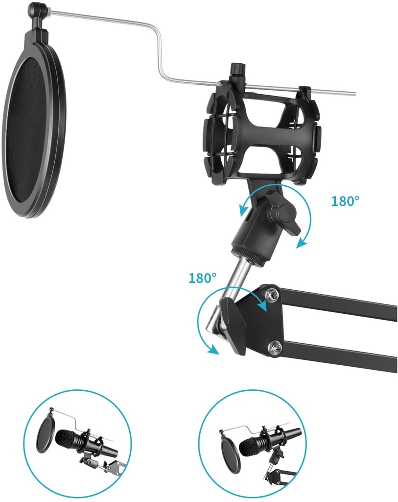 Professional Stand Recording Mic