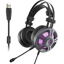 Rapoo VH510 Virtual 7.1 Channels Usb Gaming headset
