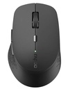 Rapoo Wireless Mouse M300S