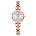 NAVIFORCE Watch NF5034