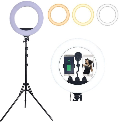 [39743] Ring Light ZB-R18