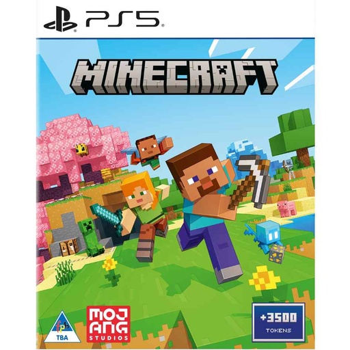 PS5 Minecraft